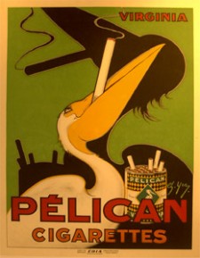 Pelican